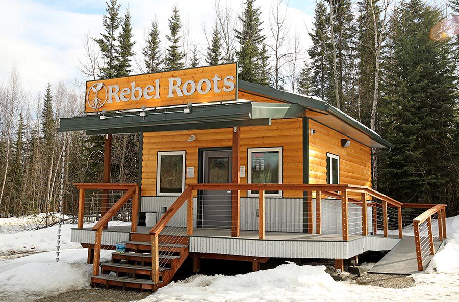Rebel Roots